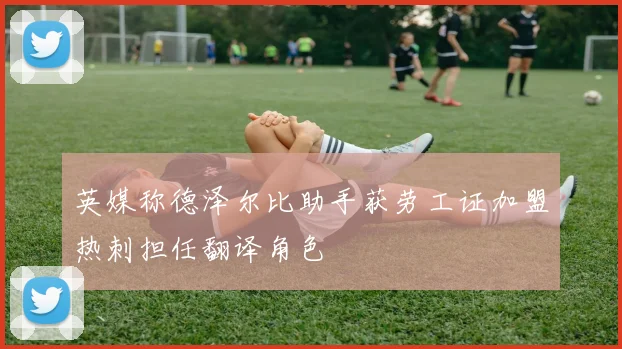 英媒称德泽尔比助手获劳工证加盟热刺担任翻译角色